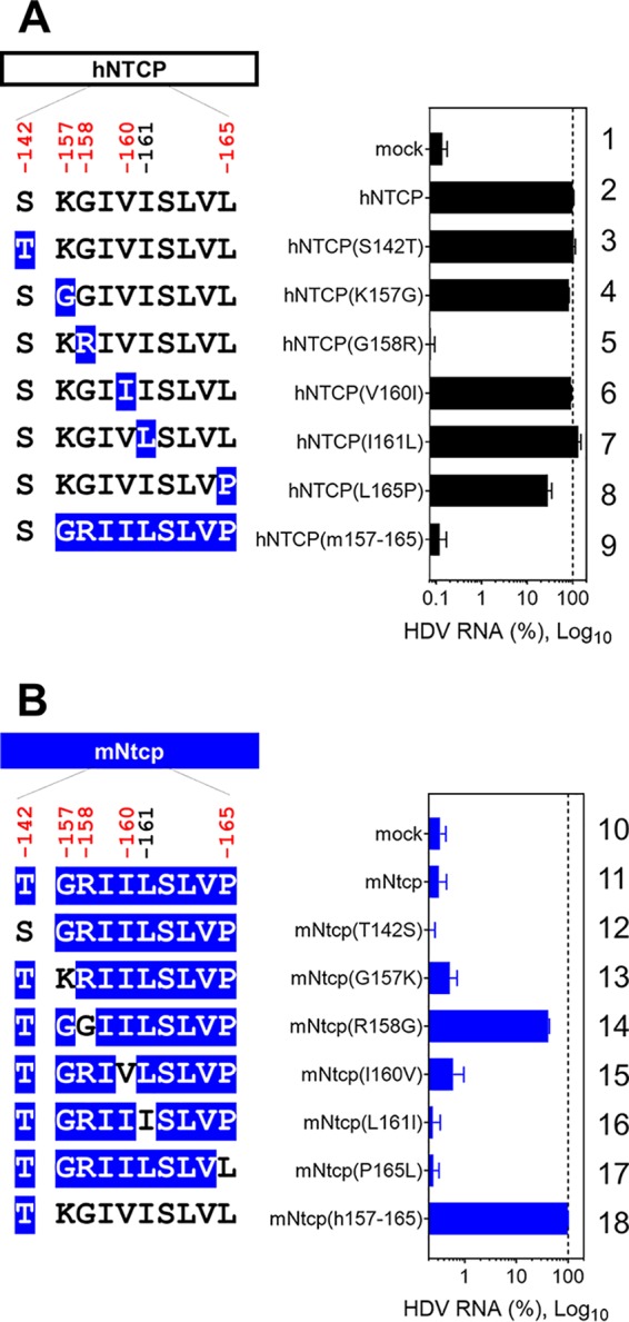 FIG 6