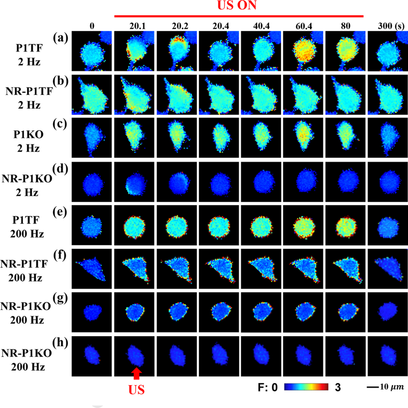 Figure 3: