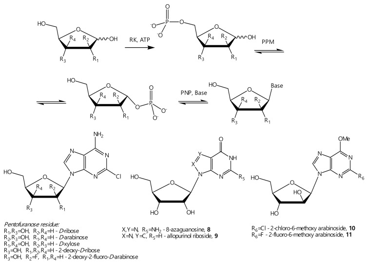 Figure 7