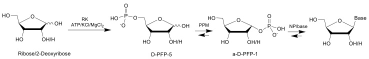 Scheme 1