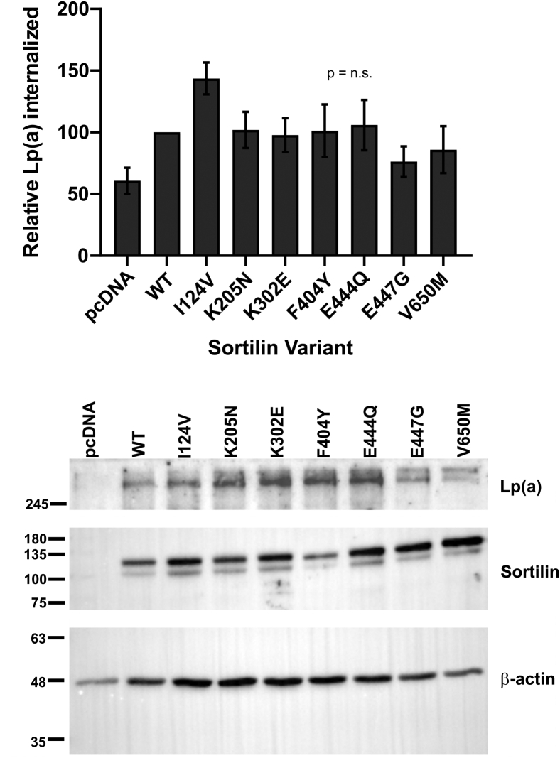 Fig. 11