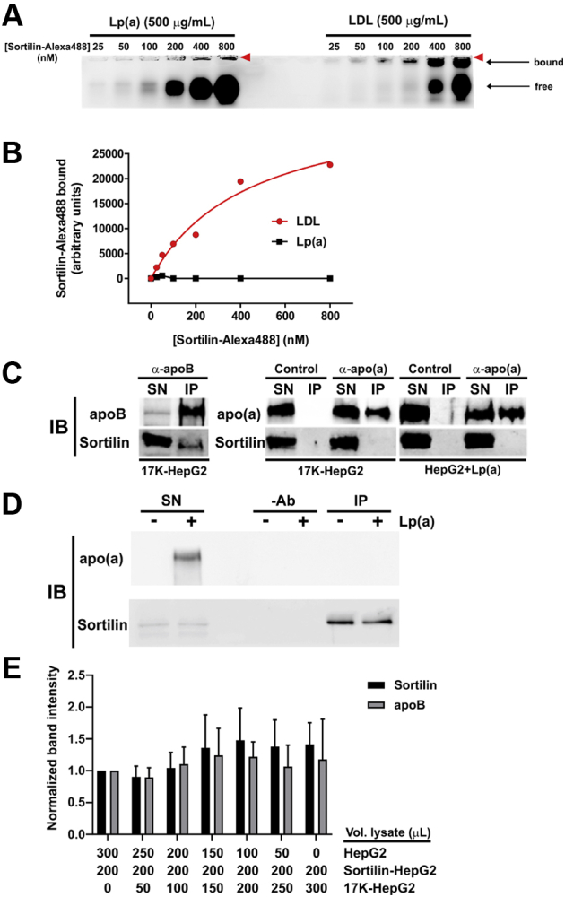 Fig. 3