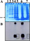 FIG. 8.