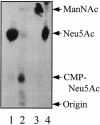 FIG. 7.