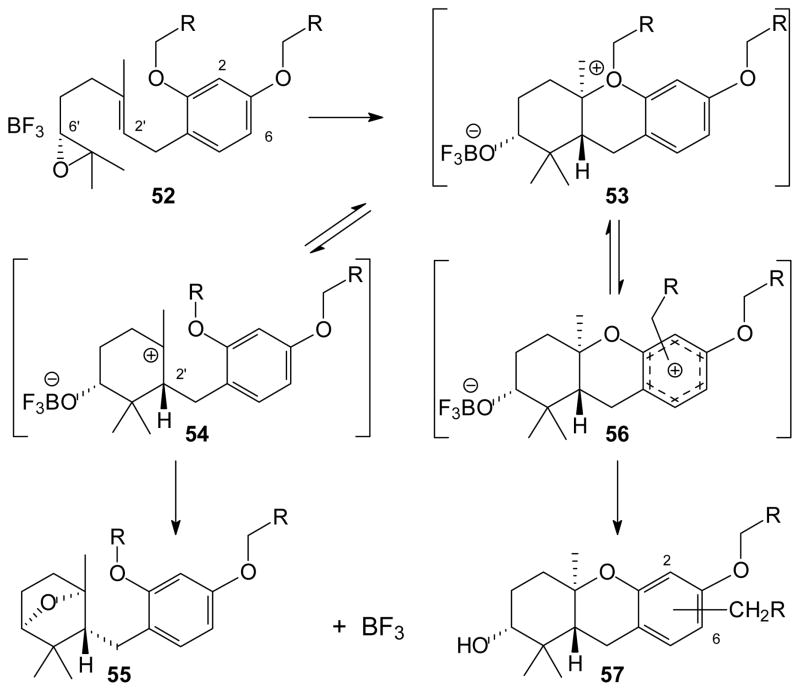 Scheme 4