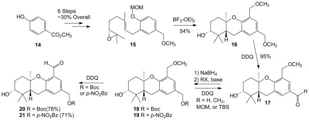 Scheme 3