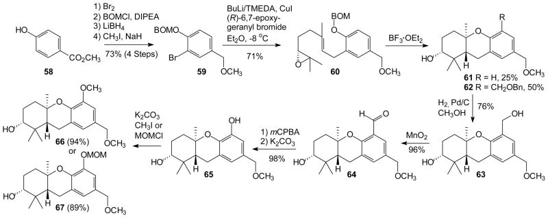 Scheme 5