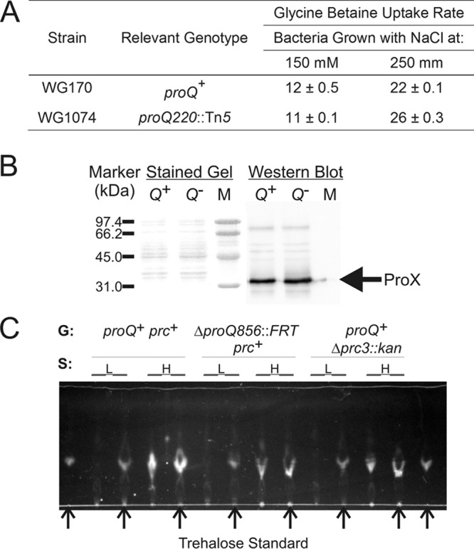 FIG 9