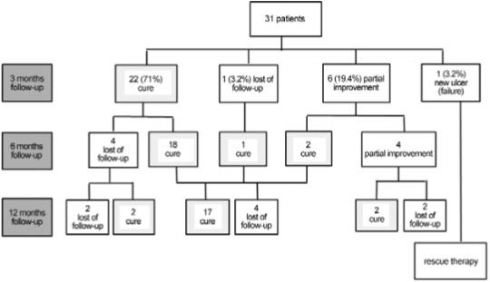 Follow-up and outcomes of 31 patients with cutaneous leishmaniasis treated
with intralesional meglumine antimoniate, Centro de Pesquisas René Rachou -
Fundação Oswaldo Cruz (Fiocruz), Belo Horizonte, Minas Gerais, Brazil,
2016.