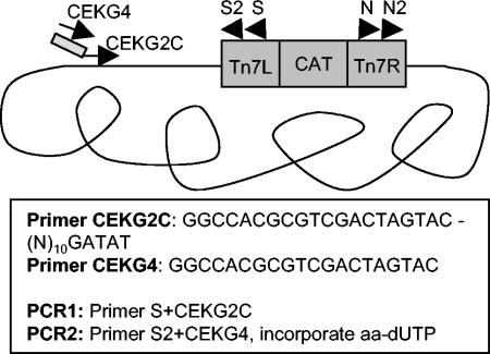 FIG. 1.