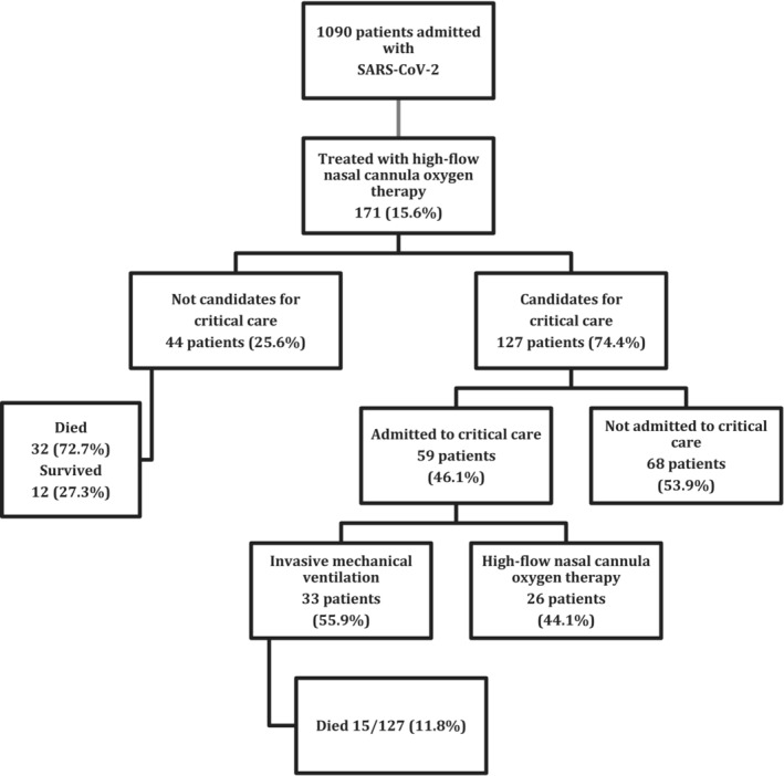 FIGURE 1