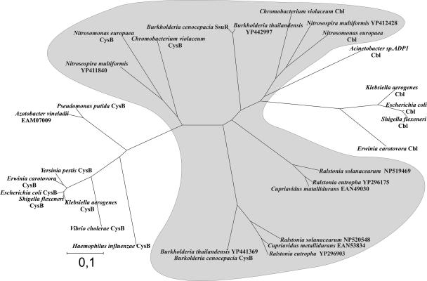 FIG. 6.