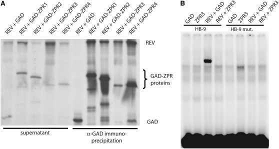 Figure 4.