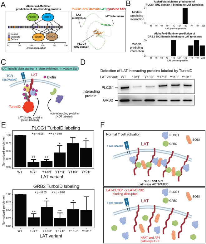 Figure 4: