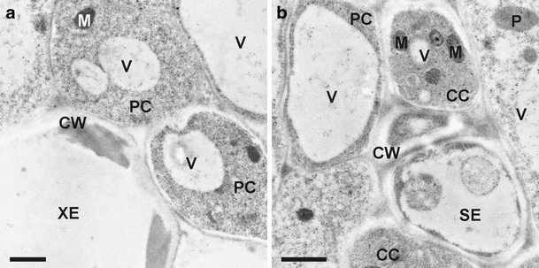 Fig. 4