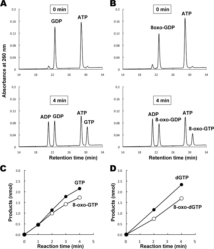 FIGURE 3.