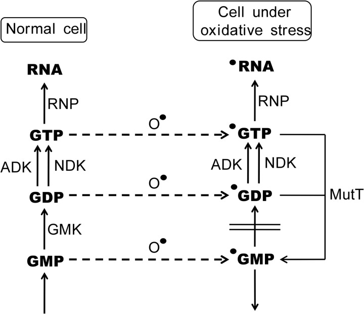 FIGURE 6.