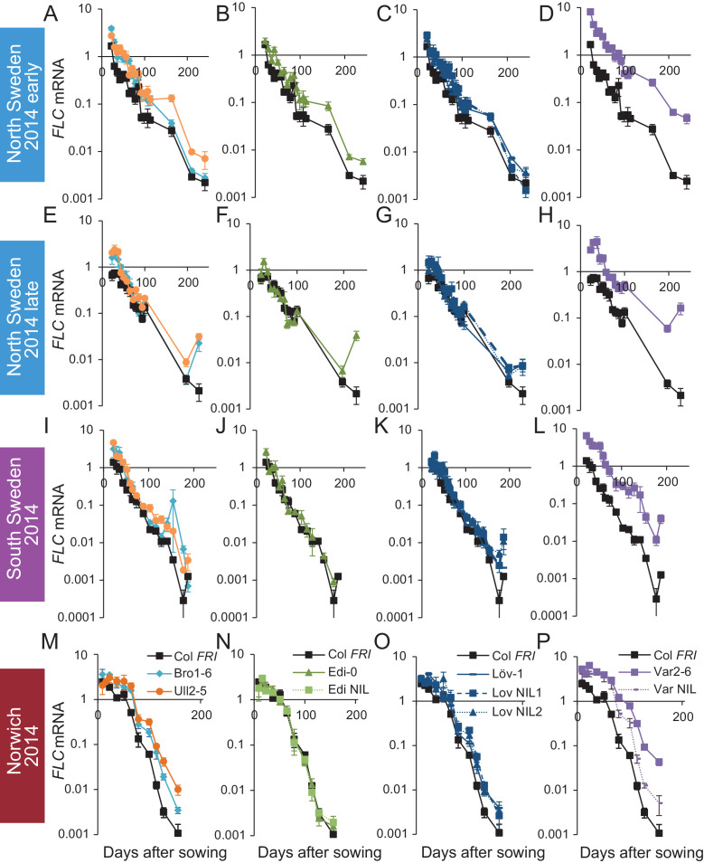 Figure 2—figure supplement 1.