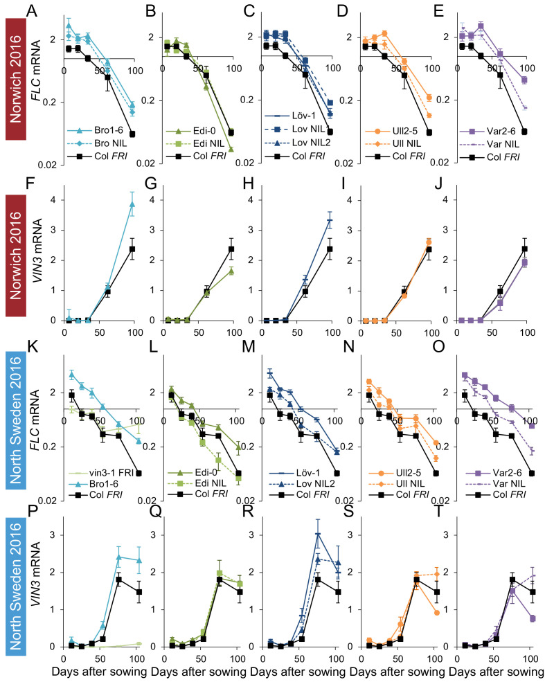 Figure 3—figure supplement 1.