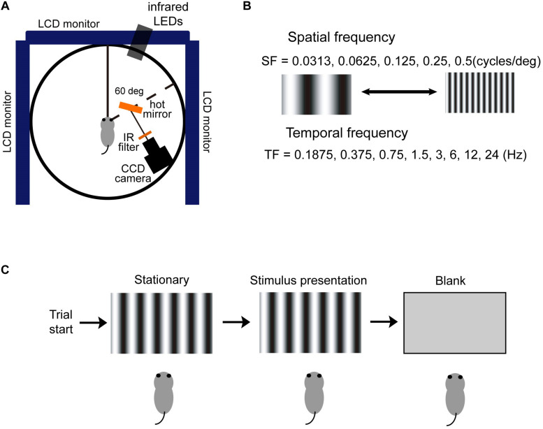 FIGURE 4