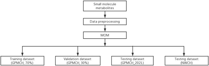 FIGURE 1