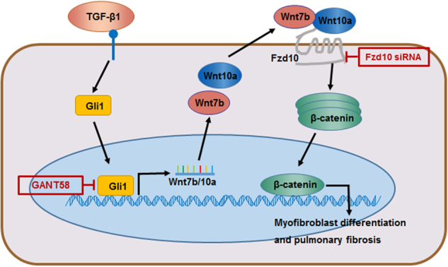 Fig. 10