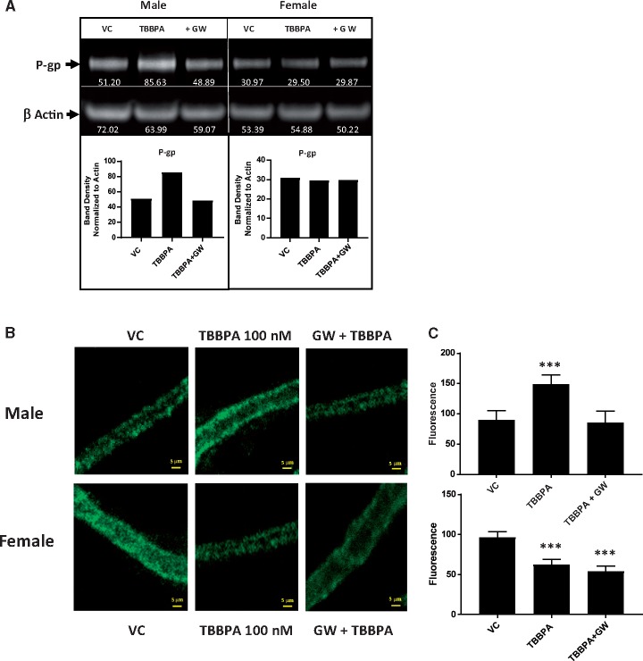 Figure 6.