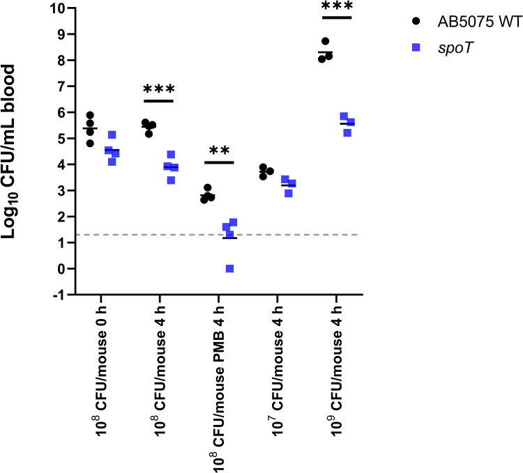 Fig 7