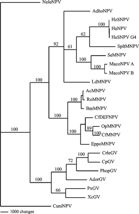 FIG. 4.