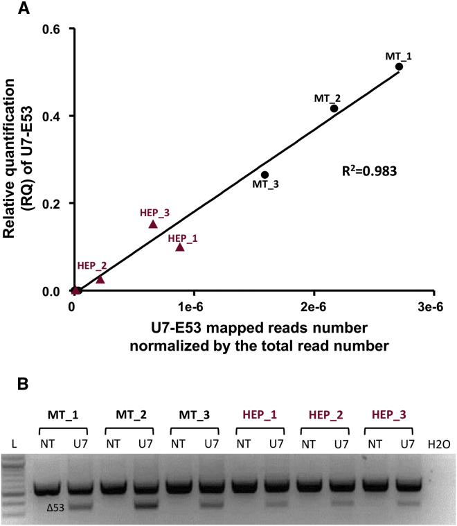 Figure 3