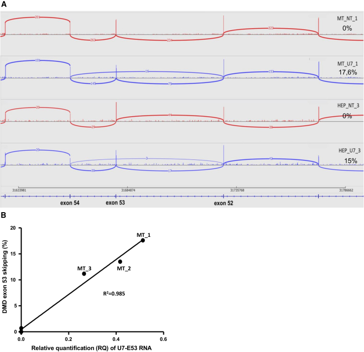 Figure 7