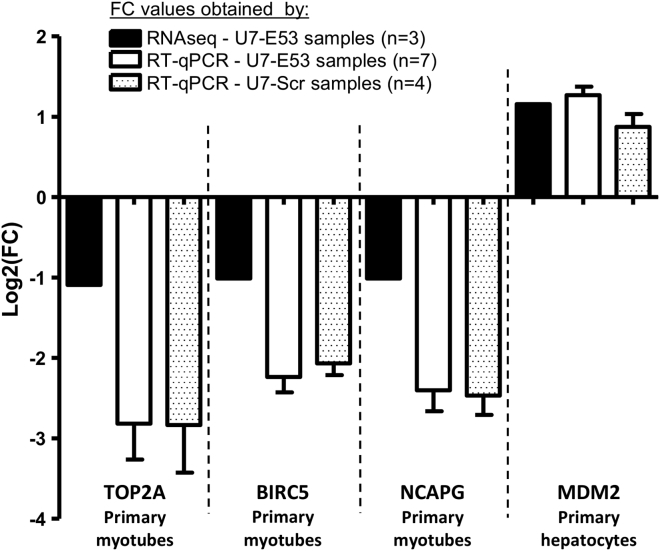 Figure 5