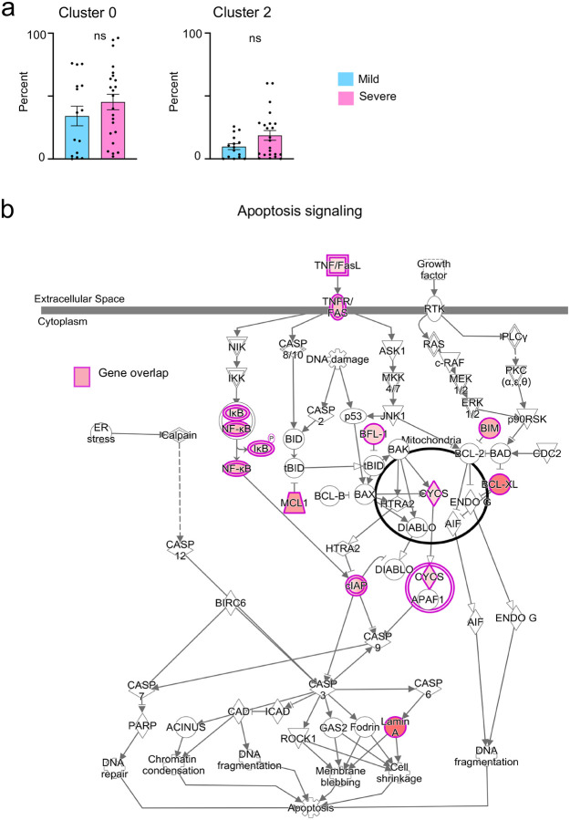 Extended Data Figure 4.