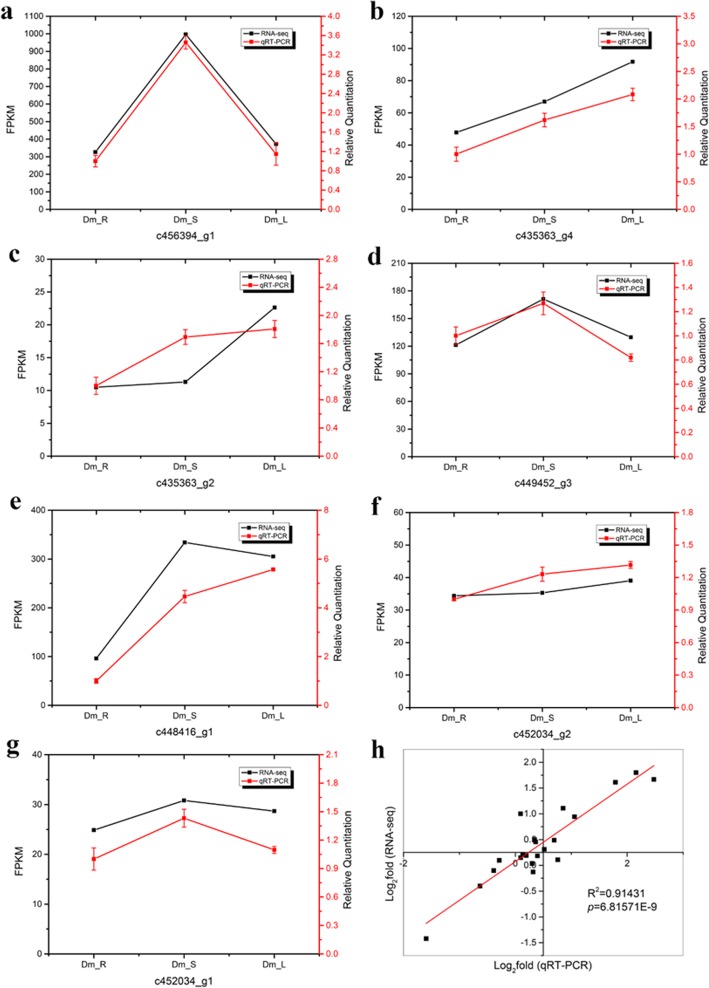 Fig. 11