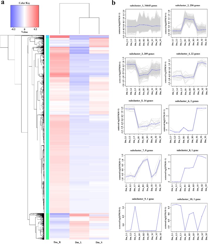 Fig. 4