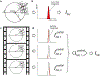 Fig. 4 |