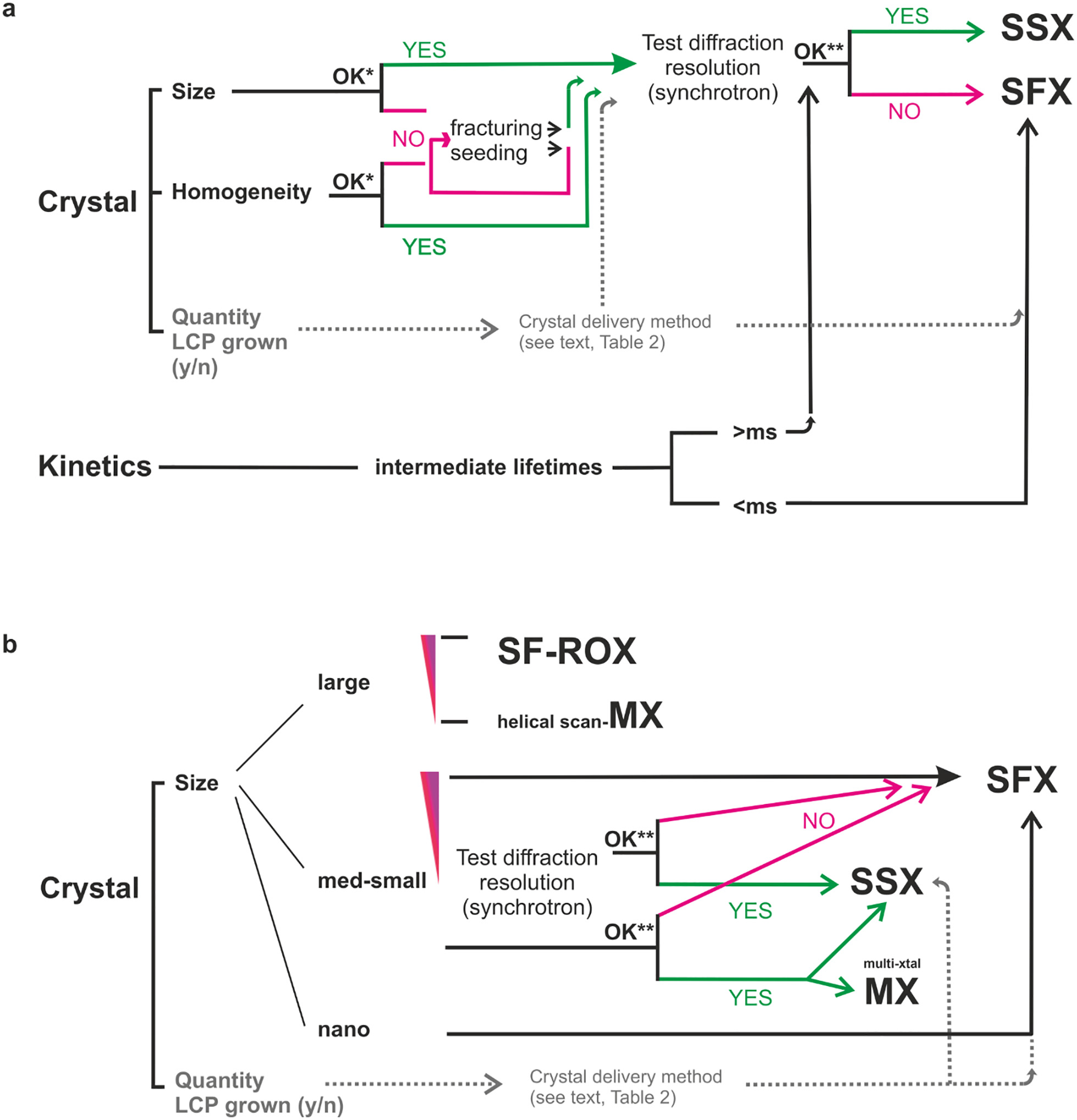 graphic file with name nihms-1861000-f0005.jpg