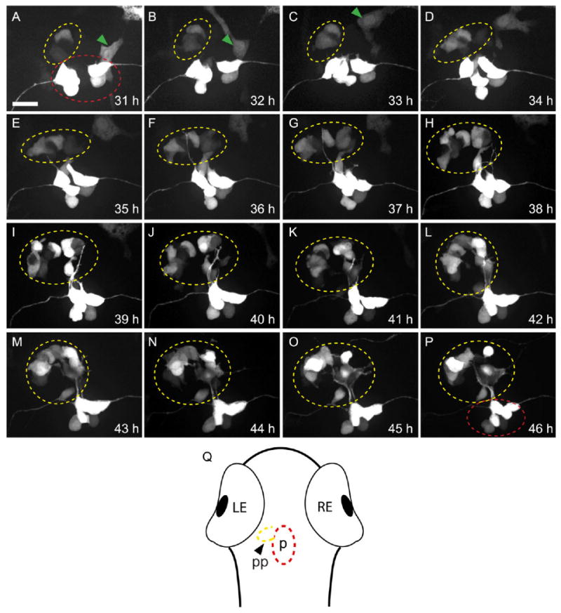 Fig. 2