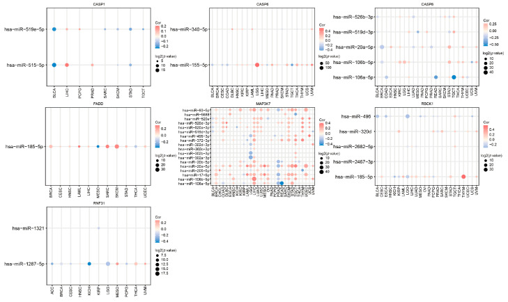 Figure 13