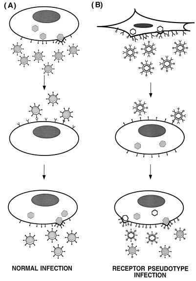 FIG. 4