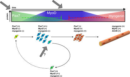 Figure 6.