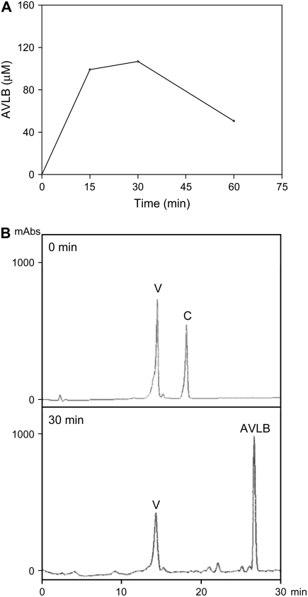 Figure 11.