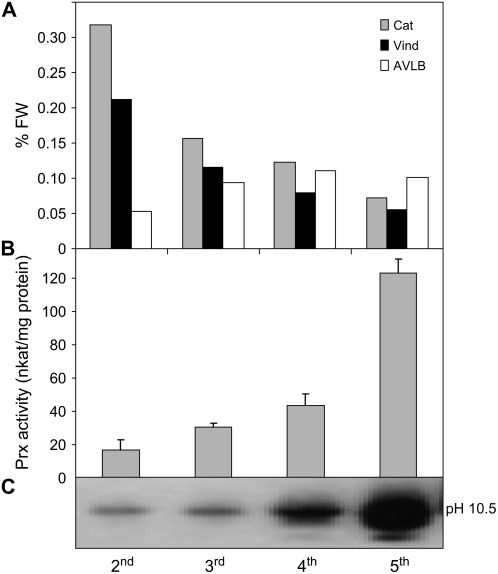 Figure 10.