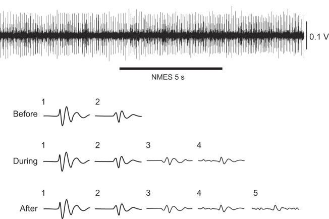 Fig. 4.