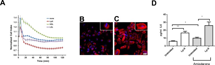 Fig 7