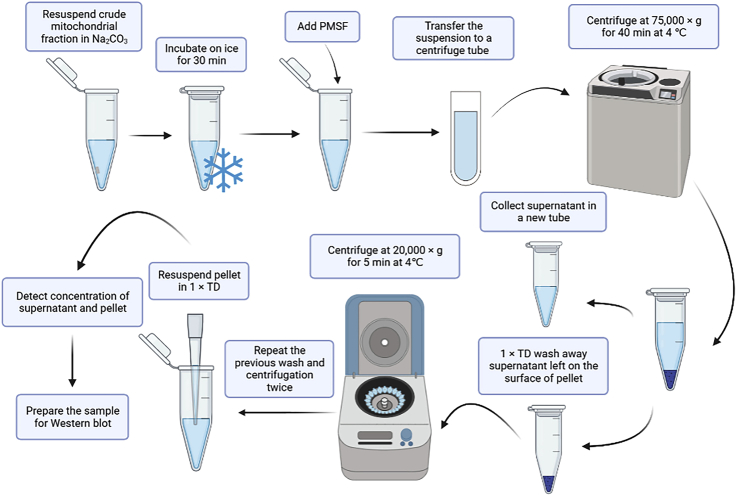 Figure 6