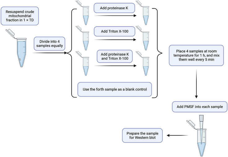 Figure 7