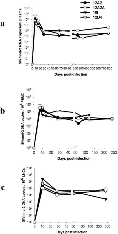 FIG. 2.