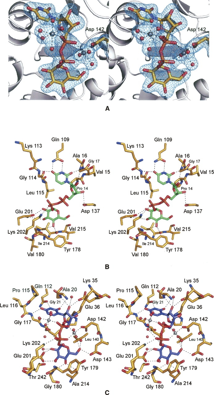 Figure 3.