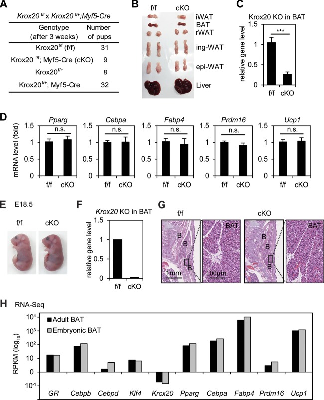 FIG 6